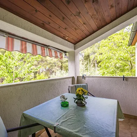 Casa Melita 公寓 罗维尼